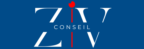 Site Ziv conseil